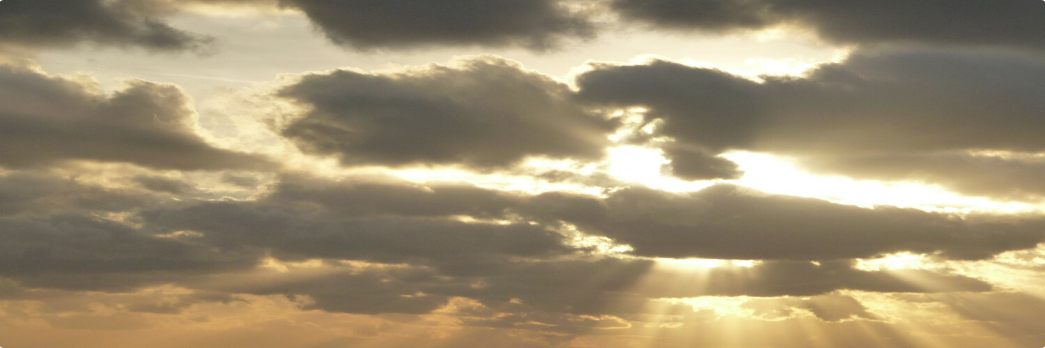 User banner