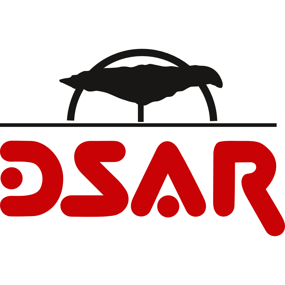 dsar