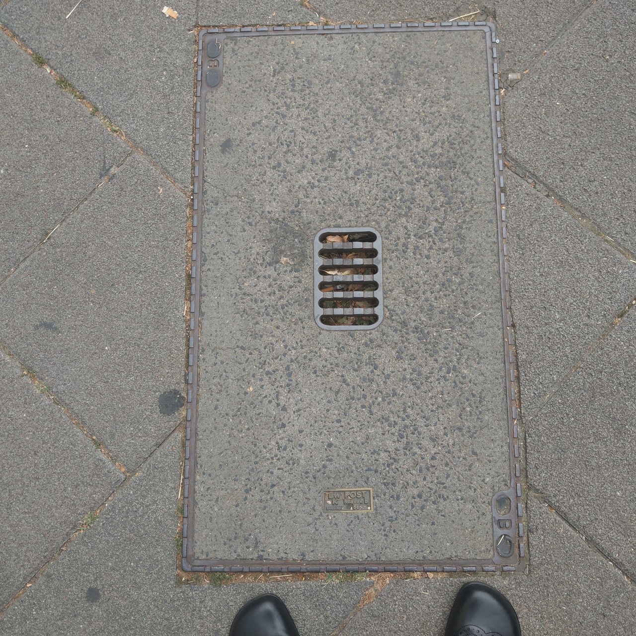 Bild/Foto