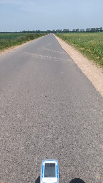 Blick über den Fahrradlenker: ein Feldweg, rechts und links grüne Felder, am Horizont eine Baumreihe