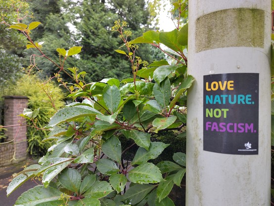 Sticker: Love Nature Not Fascism