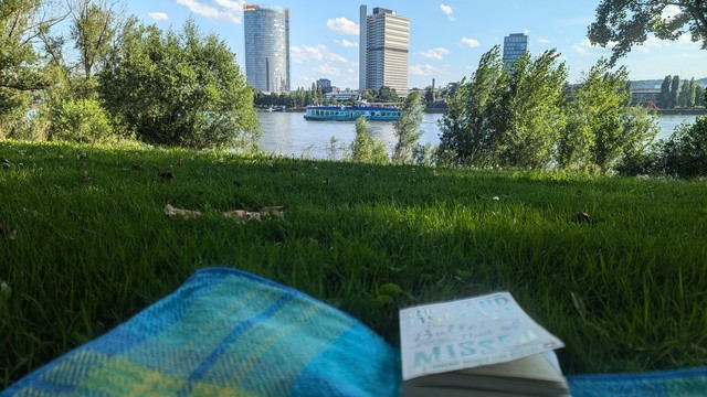 Blick auf den Rhein, auf der anderen Seite Posttower und Langer Eugen. Auf dem Rhein Moby Dick. Im Vordergrund eine Picknickdecke mit Buch auf einer Wiese.