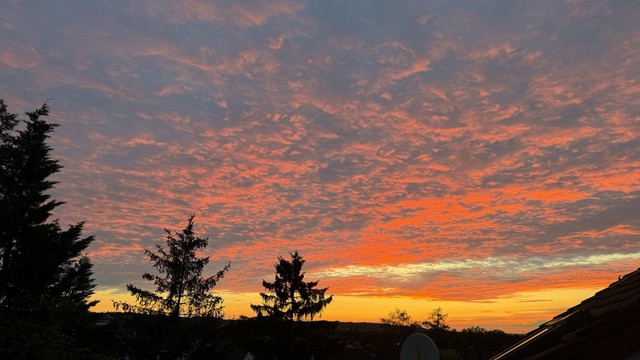 Vom Sonnenuntergang rot-orange angestrahlte Wolkendecke. Im Vordergrund Bäume und der Rest eines Dachs.