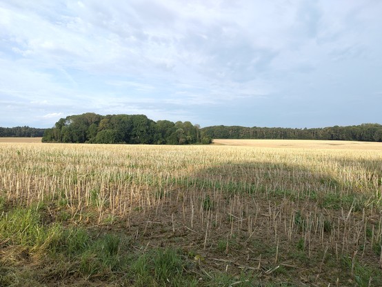 Feld und Wald 