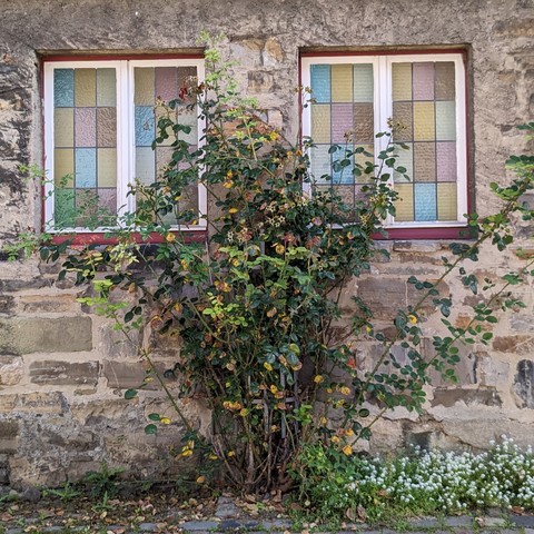 Eine mit Felssteinen gemauerte Hauswand mit zwei Fenstern in der Schlossstraße in Arnsberg (Westfalen). Beide Fenster sind vertikal zweigeteilt. In jedem Teil gibt es zwölf verschiedenfarbige Glaselemente.