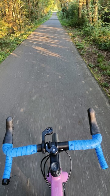 Blick über den Fahrradlenker auf einen Feldweg, gesäumt von Bäumen, das goldene Licht der Morgensonne scheint durch die Äste und Blätter.