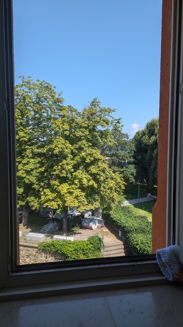 Blick durch ein offenes Fenster auf das Deutsche Eck in Koblenz, die Statue von Kaiser Wilhelm wird durch einen großen Baum verdeckt.