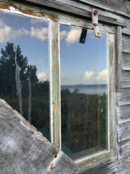 Fenster einer Holzhütte am Strand, im Glas spiegeln sich Kiefern und die Ostsee