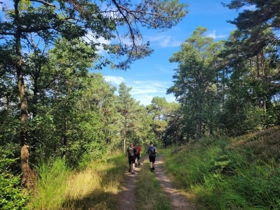 Wanderer auf dem Ahrsteig