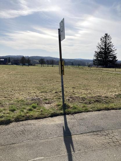 Alleinstehender Metallpfahl einer ländlich gelegenen Bushaltestelle. Im Vordergrund Straße, dann Weidefläche, am Horizont liegt etwas dunkler Wald. Rechts in der Mitte von Bild steht eine große Tanne. Der Himmel ist leicht weiß bewölkt. 