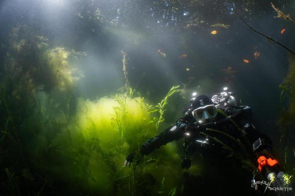 Gut Widdauen, diver underwater