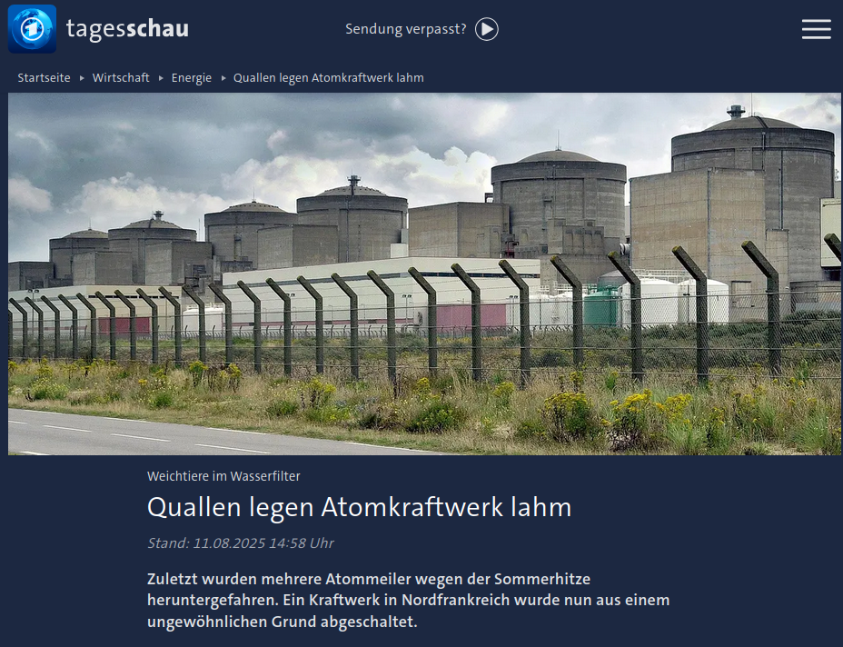 Ausschnitt aus einer Meldung aus dem Webangebot der Tagesschau. 

Bild eines Atomkraftwerks, sechs Reaktorgebäude aus Beton, hinter einem Stacheldrahtzaun, unter einem leicht stürmisch aussehenden grauen Himmel.

Text: 

Weichtiere im Wasserfilter 

Quallen legen Atomkraftwerk lahm

Stand: 11.08.2025 14:58 Uhr

Zuletzt wurden mehrere Atommeiler wegen der Sommerhitze heruntergefahren. Ein Kraftwerk in Nordfrankreich wurde nun aus einem ungewöhnlichen Grund abgeschaltet. 

Link: https://www.tagesschau.de/wirtschaft/energie/akw-frankreich-quallen-100.html
